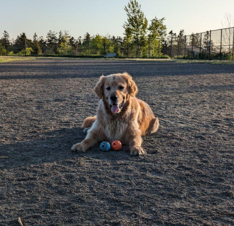 Muffin with his balls